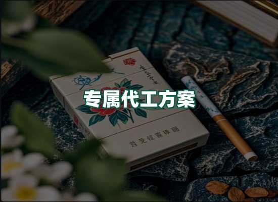 核心优势